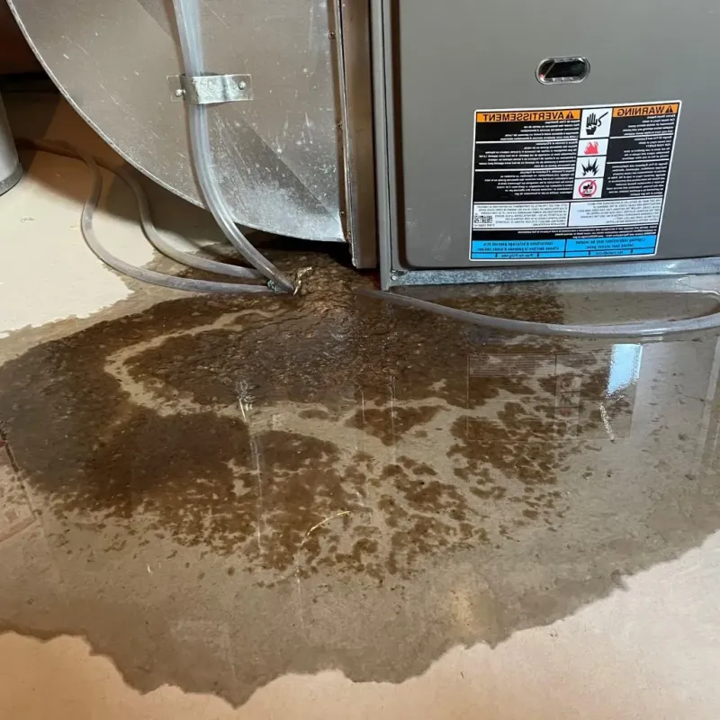 Pipe Burst and Leak Restoration in North Arlington, NJ
